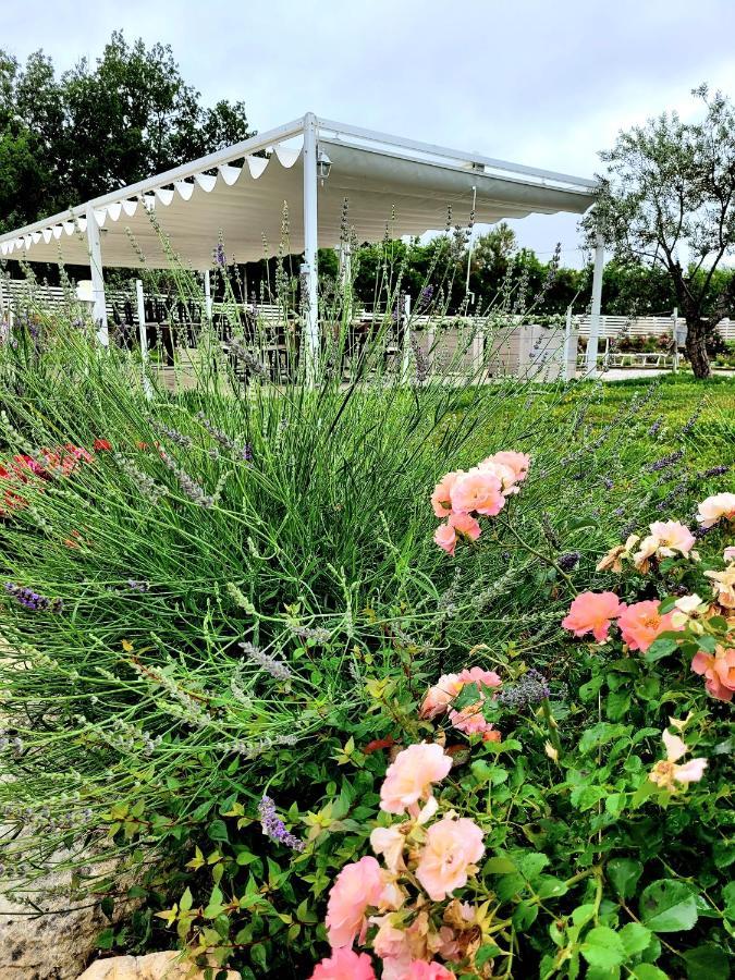 Villa La Collina Dei Cavalieri à Belvedere Ostrense Extérieur photo