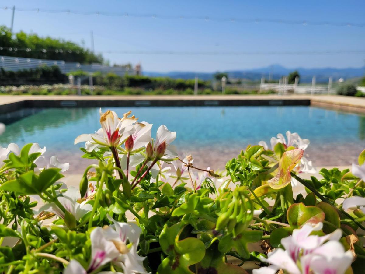 Villa La Collina Dei Cavalieri à Belvedere Ostrense Extérieur photo