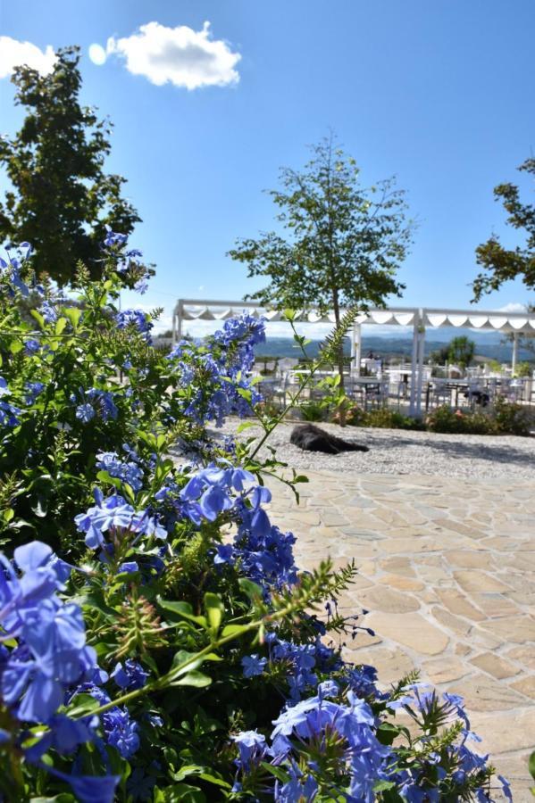 Villa La Collina Dei Cavalieri à Belvedere Ostrense Extérieur photo